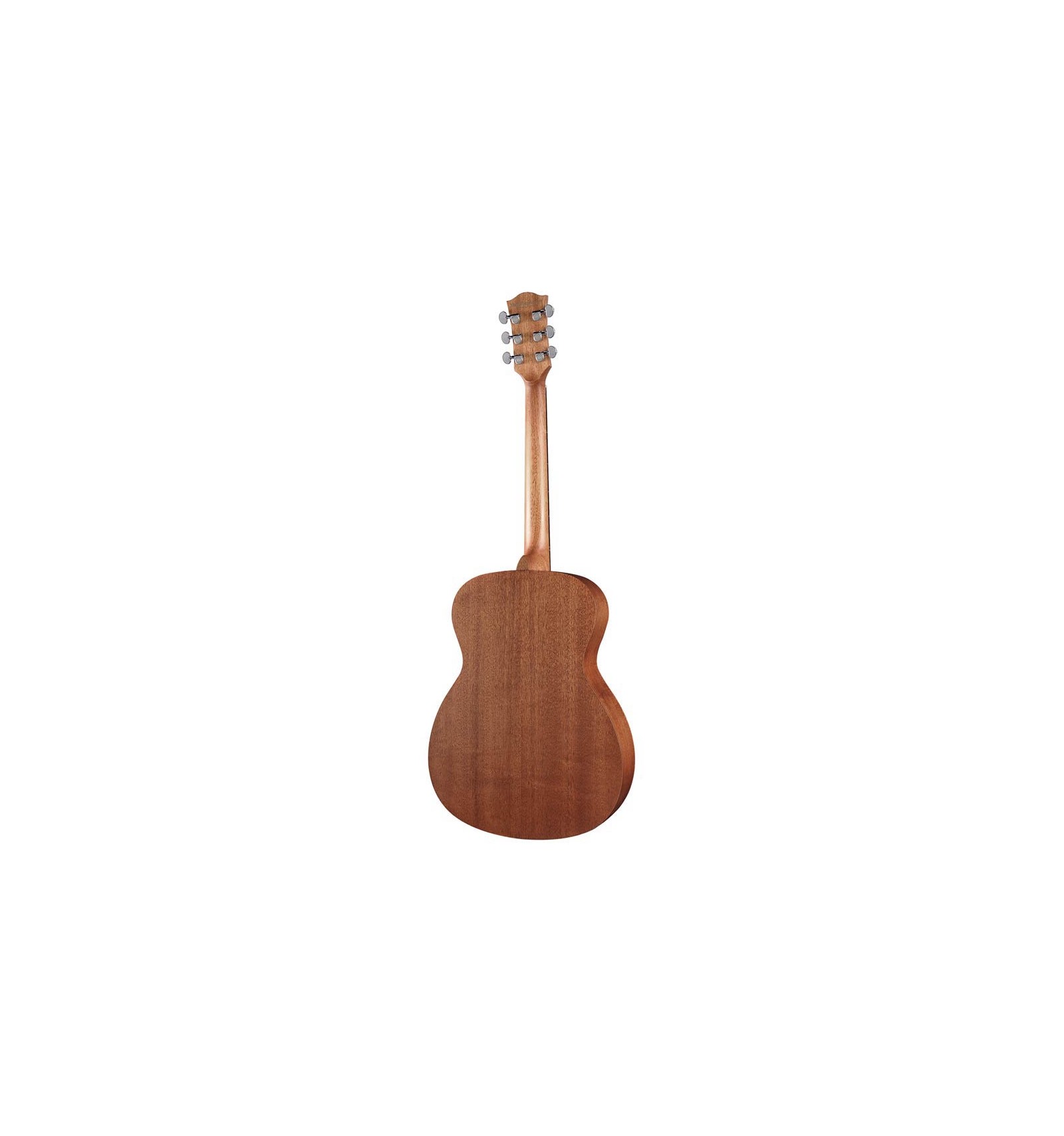 Haarzelf Peer zuurgraad Richwood A-50 akoestische gitaar | Gitaar | Click-Track